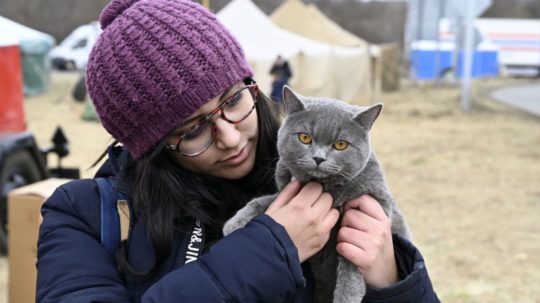 Na snímke utečenka z Ukrajiny so svojou mačkou v záchytnom stanovom tábore na slovenskej strane na hraničnom priechode vo Vyšnom Nemeckom.