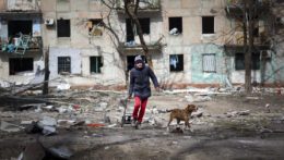 Muž kráča so psom okolo bytovky zničenej po ostreľovaní na okraji ukrajinského Mariupolu na území pod kontrolou inváznych síl na Ukrajine.