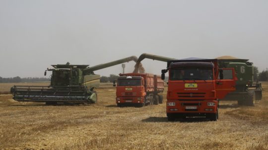Farmári s kombajnami počas zberu pšenice.