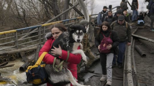 Žena drží psa pri prechode cez rieku Irpin.
