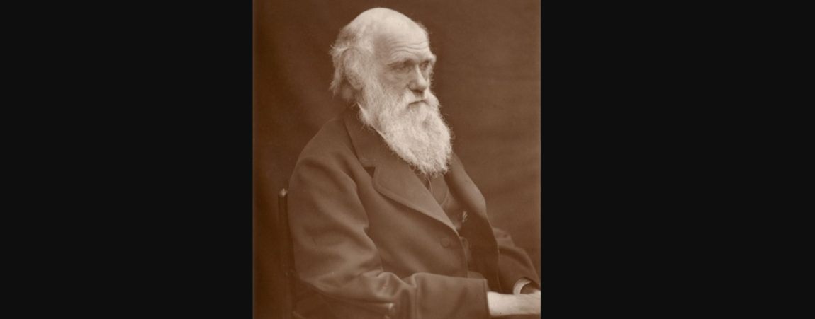 Charles Darwin vyhlásením, že človek pochádza z opice, šokoval viktoriánsku spoločnosť