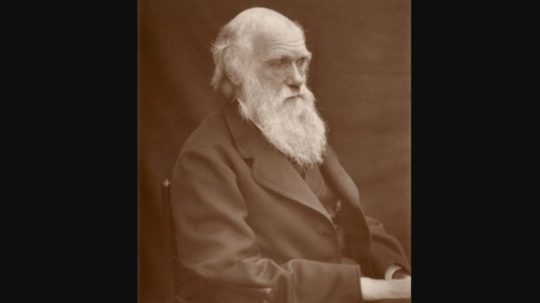 Na snímke britský biológ a autor evolučnej teórie Charles Darwin.