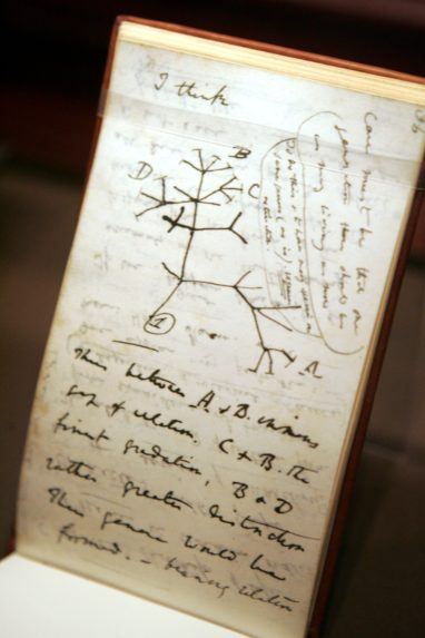 Kópia poznámkového bloku Charlesa Darwina, na ktorý napísal ´I think´ a nakreslil jednoduchý evolučný strom.