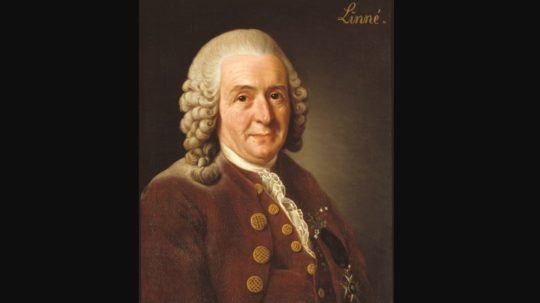 Švédsky lekár a botanik Carl Linné.