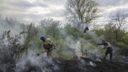 Hasiči hasia lesný požiar po ostreľovaní mesta Mykolajivka v Doneckej oblasti.