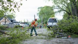 Východ Kanady zasiahli silné búrky. Na snímke pracovník odstraňuje popadané stromy a konáre.