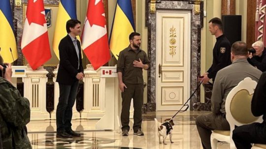 Ukrajinský prezident ocenil psa Patróna.