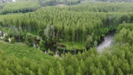 Na ilustračnej snímke sa rieka vinie cez les.
