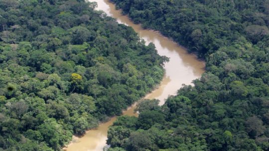 amazonský prales