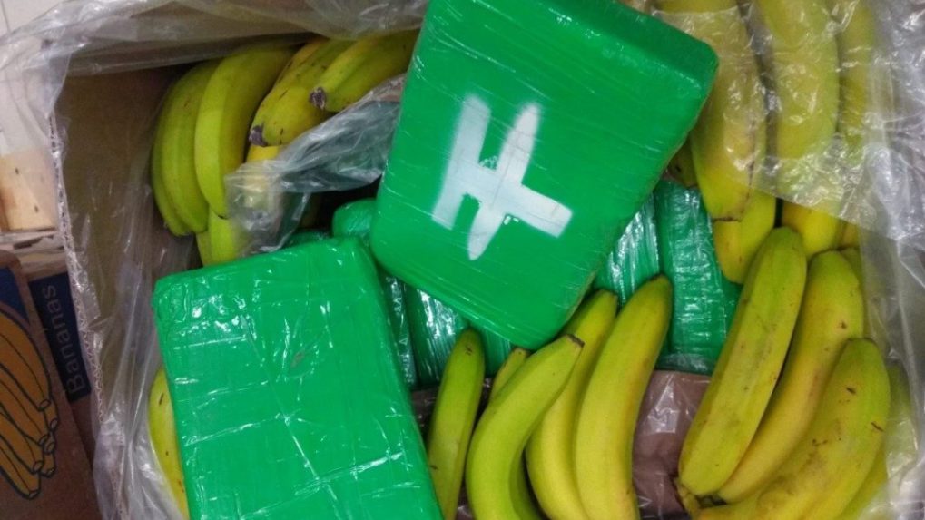 Veľká zásielka kokaínu, ktorá spolu s banánmi smerovala do českých potravín, skončí v spaľovni