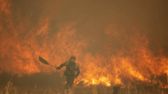 Ilustračná snímka - hasič hasí lesný požiar.