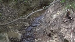 Na ilustračnej snímke vyschnuté koryto potoka.