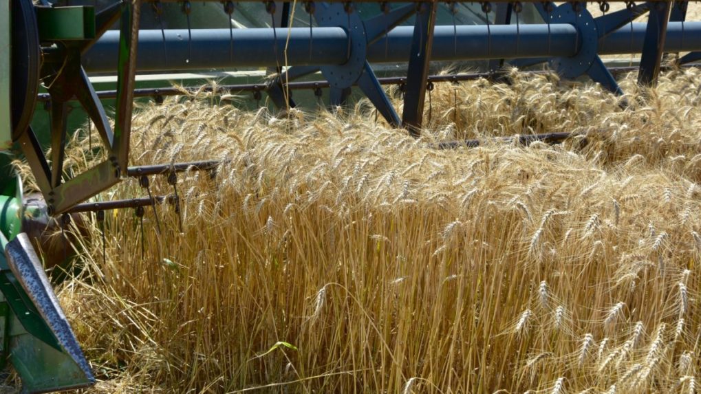 Ukrajina zriadila dva koridory na vývoz obilia