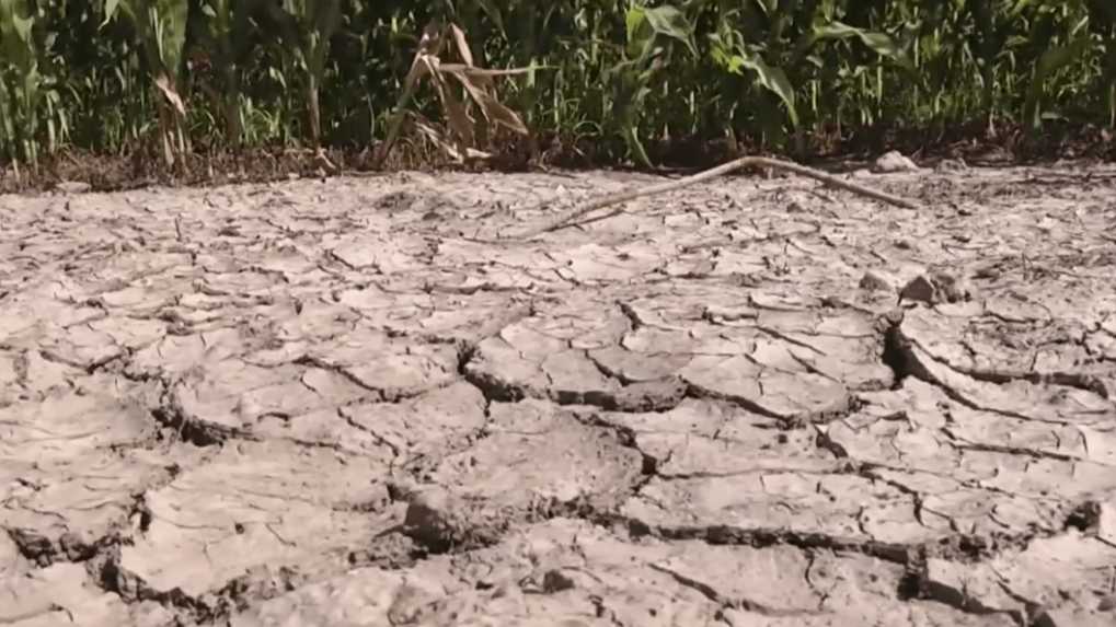 Mimoriadne sucho odhalilo španielsky Stonehenge