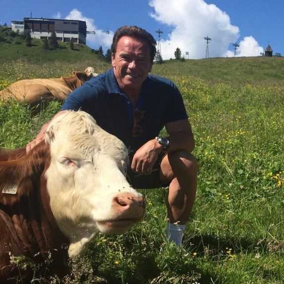 Na fotografii Arnold Schwarzenegger v Alpách.