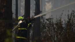 Na snímke hasí hasič lesný požiar.