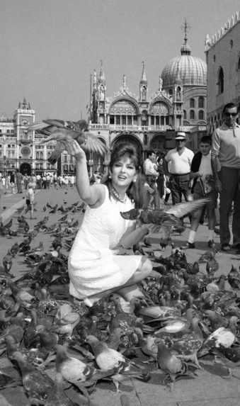 Na archívnej snímke z roku 1968 herečka Gina Lollobrigida kŕmi holubov na Námestí sv. Marka v talianskych Benátkach.