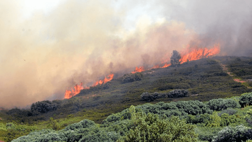 Na juhu Francúzska bojuje s novým lesným požiarom asi 500 hasičov