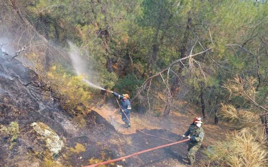 Grécki hasiči bojujú s požiarom v národnom parku Dadia