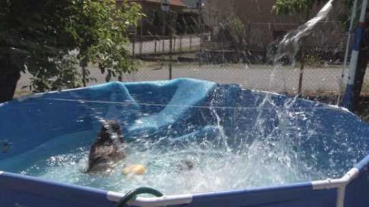 Na ilustračnej snímke napúšťanie bazénu na záhrade vodou.