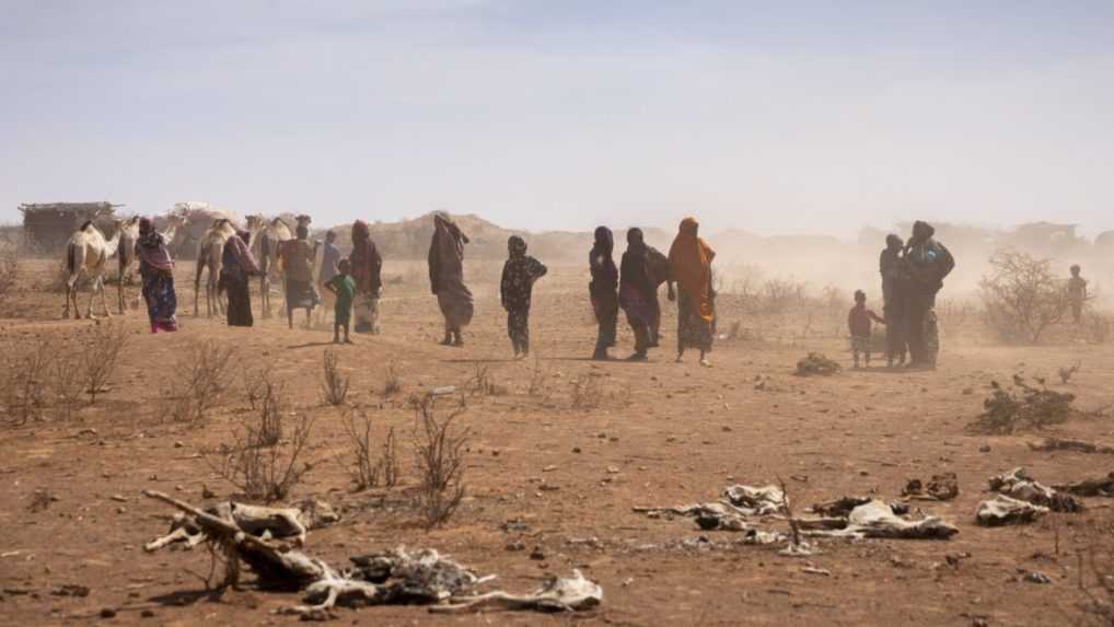 Kvôli rekordnému suchu trpí polovica obyvateľov Somálska hladom