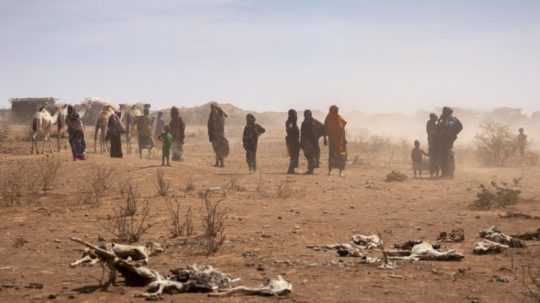 Ilustračná snímka-extrémne sucho vo východnej Afrike.