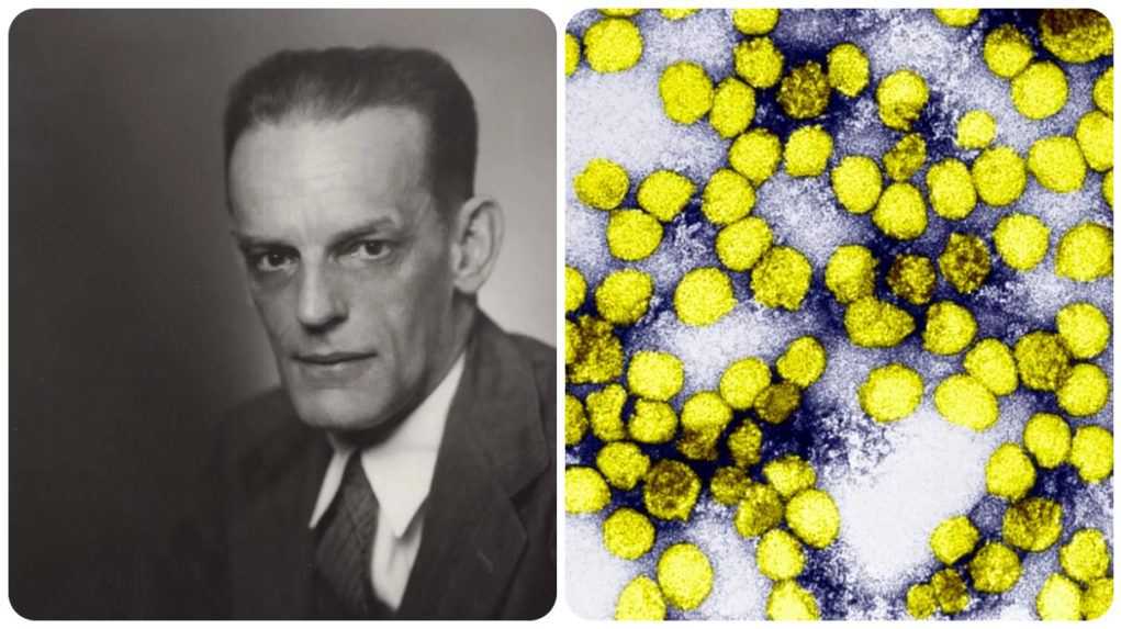 Vyvinul vakcínu proti žltej zimnici. Pred 50 rokmi zomrel Max Theiler