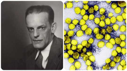Na ľavej snímke autoportrét Maxa Theilera/Na pravej fotke vírus žltej zimnice pod mikroskopom.