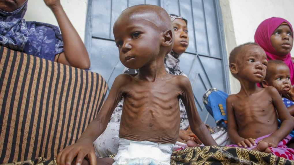 OSN: Somálsko je na pokraji hladomoru
