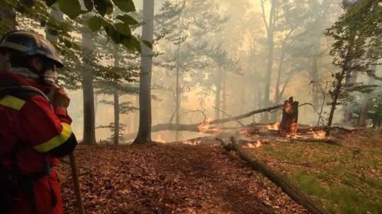 Hasič zasahuje pri požiari lesa v Malej Lodine.