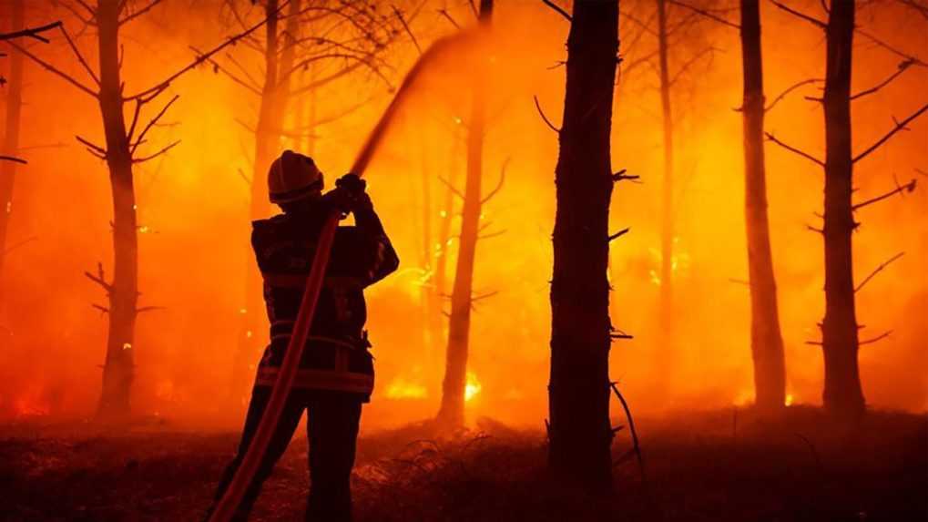 Rok 2022 je rekordný z pohľadu lesných požiarov v juhozápadnej Európe