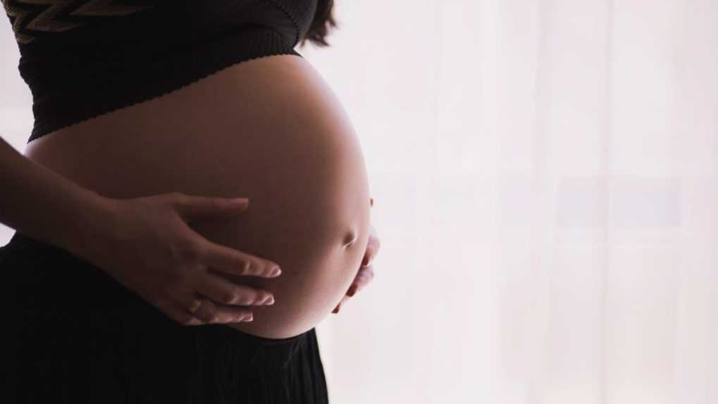 Hnutie PS pripravilo verziu zákona o pomoci tehotným ženám