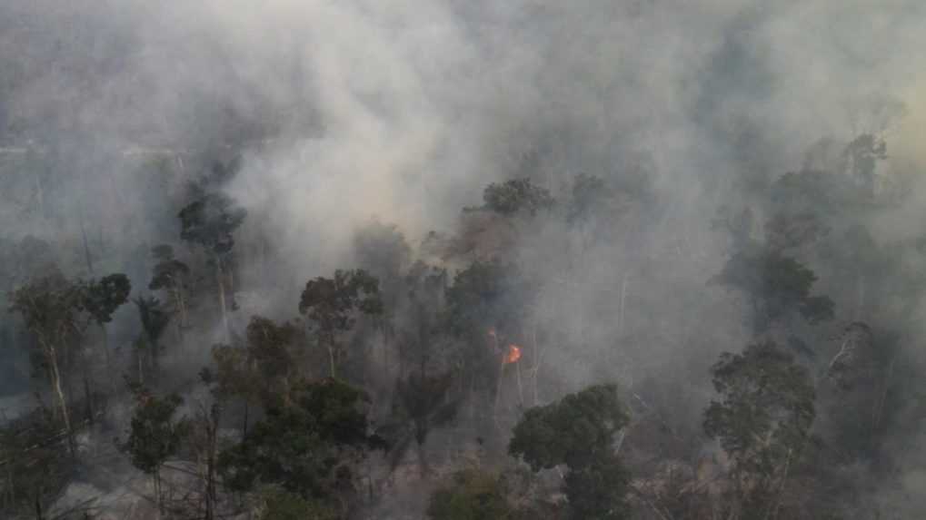 V Amazonskom pralese v auguste vzplanulo cez 33 000 požiarov