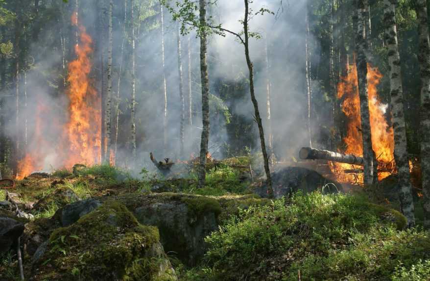 V Bolívii vypukli vyše dve desiatky lesných požiarov