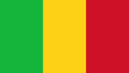 Na snímke vlajka Mali.