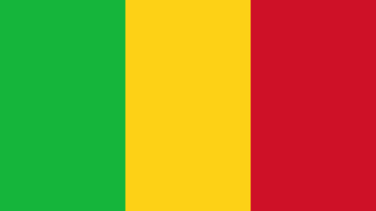 Na snímke vlajka Mali.