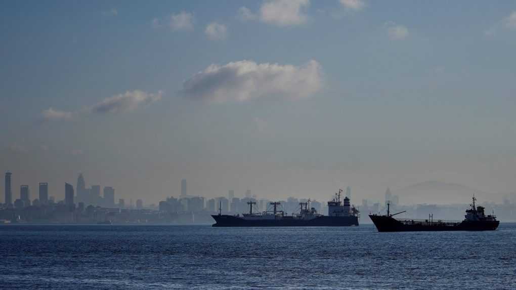 Z Ukrajiny vyplávalo ďalších šesť lodí s obilím