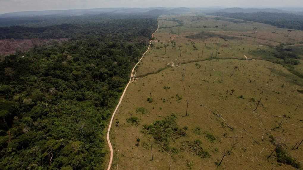 Nemecko a Nórsko uvoľnia peniaze na ochranu amazonského pralesa