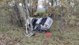 Na snímke havarované auto, ktoré narazilo do stromu. O život prišli dvaja ľudia.