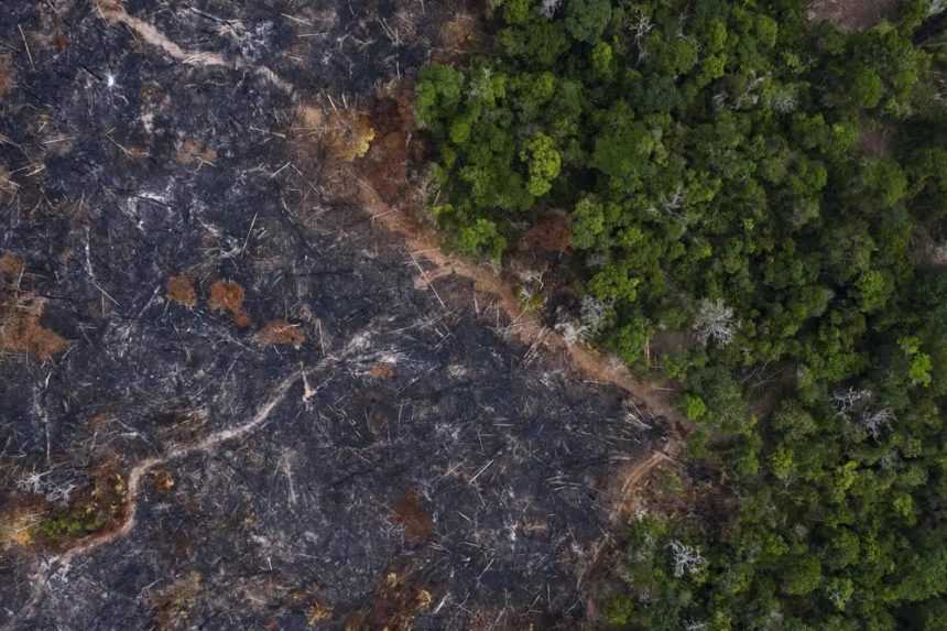 Za posledných 40 rokov ubudlo v Amazónii 10 % vegetácie