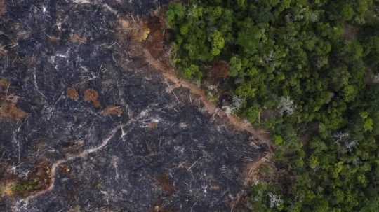 Odlesňovanie Amazonského pralesa.