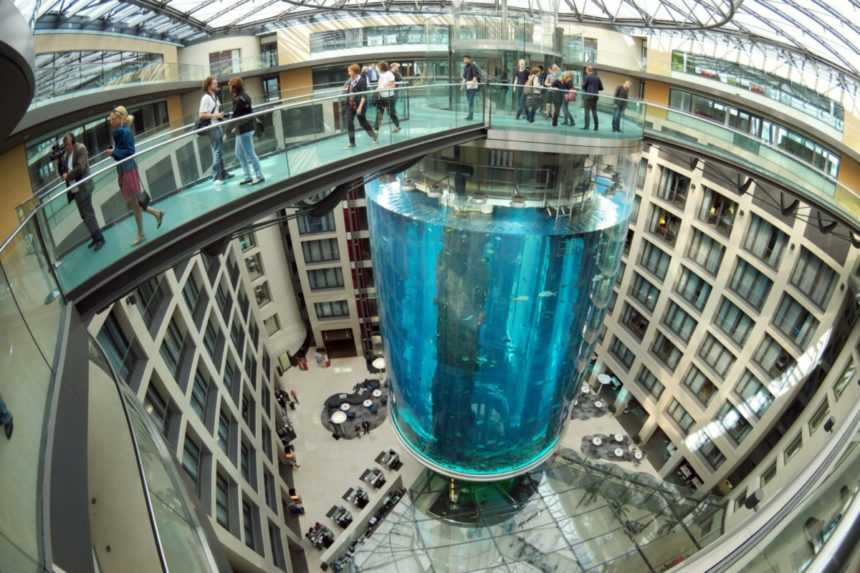 Z obrovského prasknutého akvária v Berlíne sa podarilo zachrániť desiatky rýb