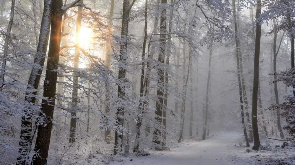 V Oravskej Polhore meteorológovia zaznamenali najchladnejšiu noc roka