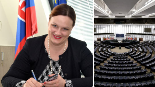 Na snímke Katarína Roth Neveďalová a ilustračná snímka z Európskeho parlamentu.