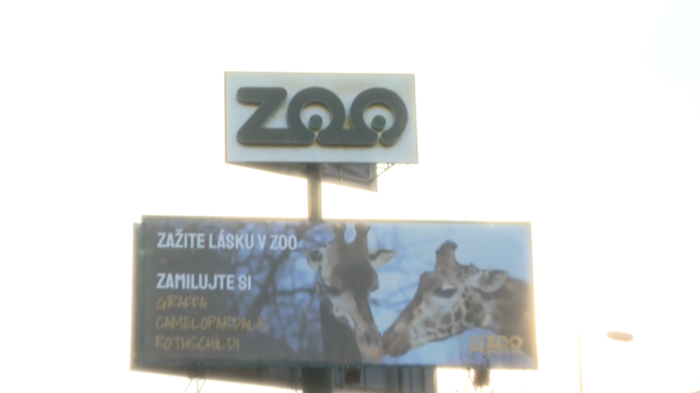 Bratislavská zoologická záhrada sa zmieta v problémoch