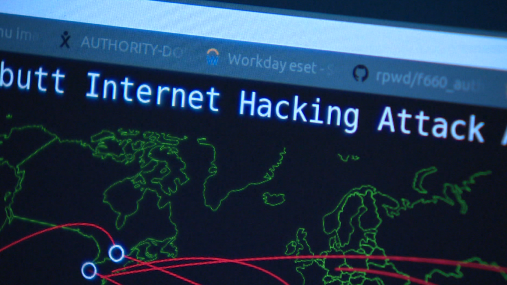 Chaos v českom online svete: Na weby ministerstva vnútra a polície útočili hekeri