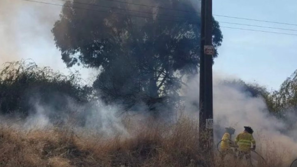 Lesné požiare v strednom Čile si vyžiadali najmenej päť obetí