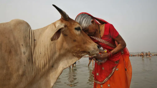 Na snímke Indka objíma kravu.