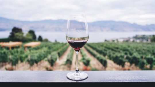 Na ilustračnej snímke pohár červeného vína a vinice v pozadí.