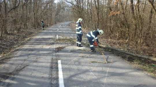 Na snímke hasiči odpratávajú strom z cestnej komunkácie.